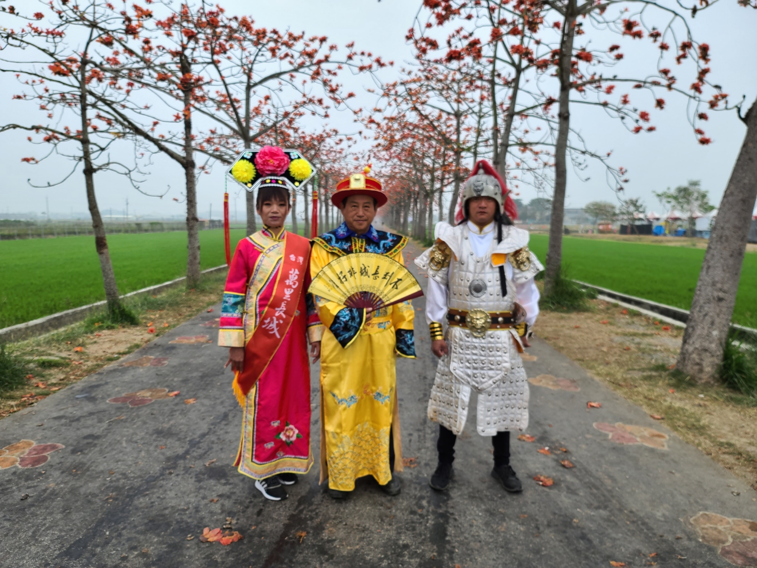 台南一日遊觀賞世界最美的15條花海街白河木棉花道木棉花，順遊萬里長城