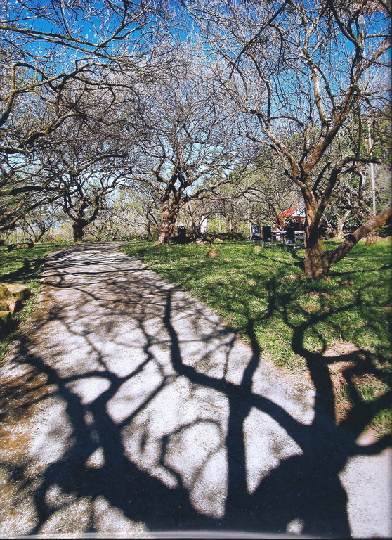 秋天來了!與朋友相約走一趟梅嶺步道