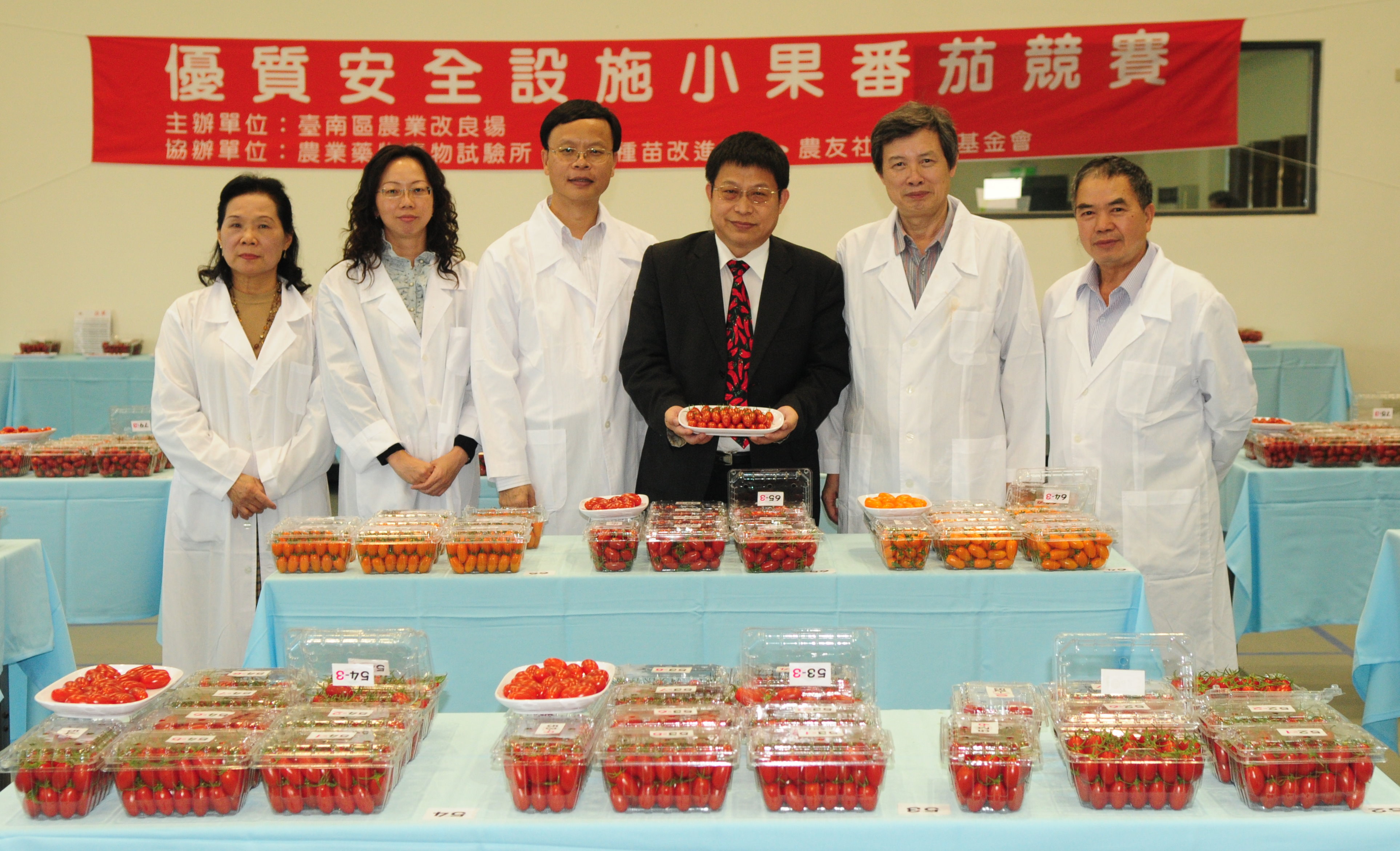 2012年小果番茄栽培達人風雲榜