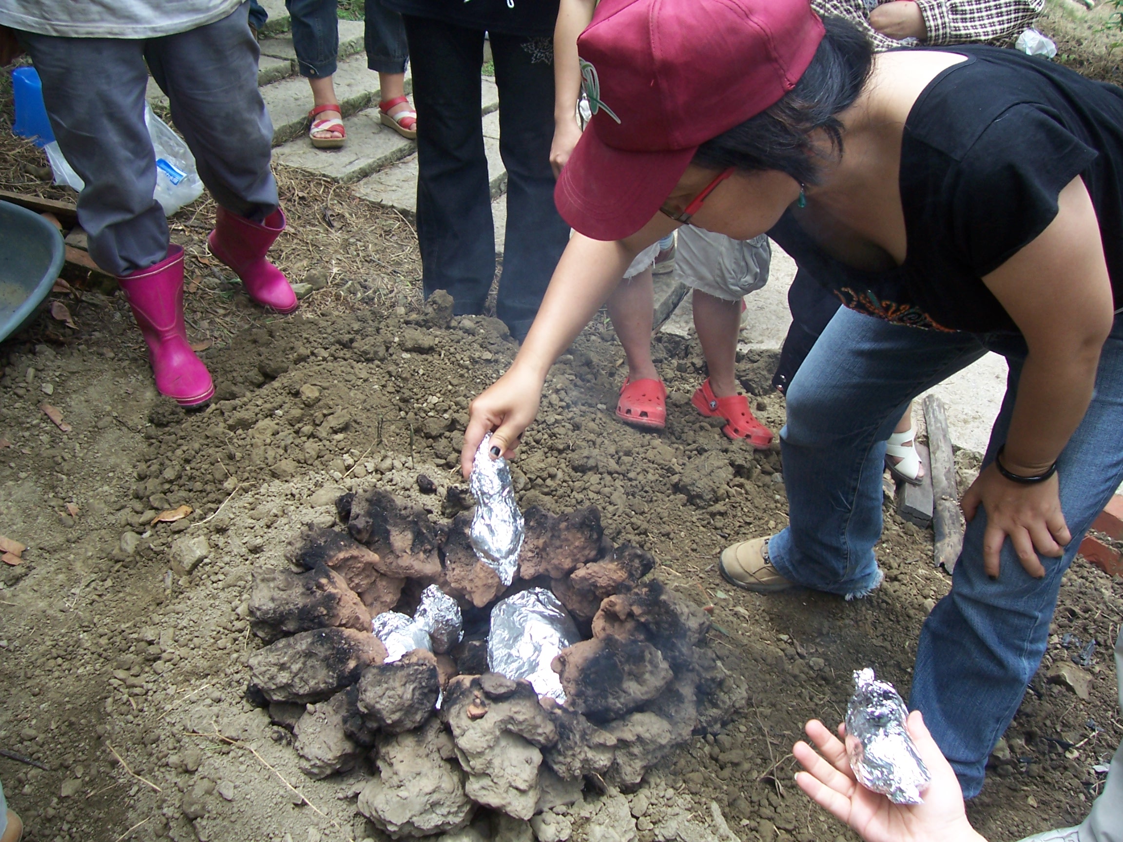 賞梅遊梅嶺正是時候