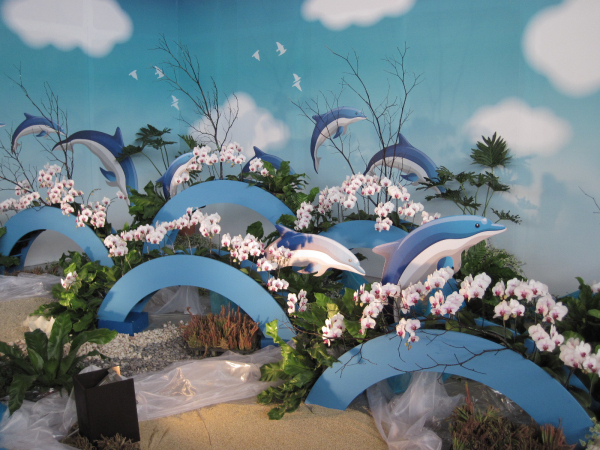 花朵《綻放》能量　共創臺灣蘭花新夢想-2013國際蘭展