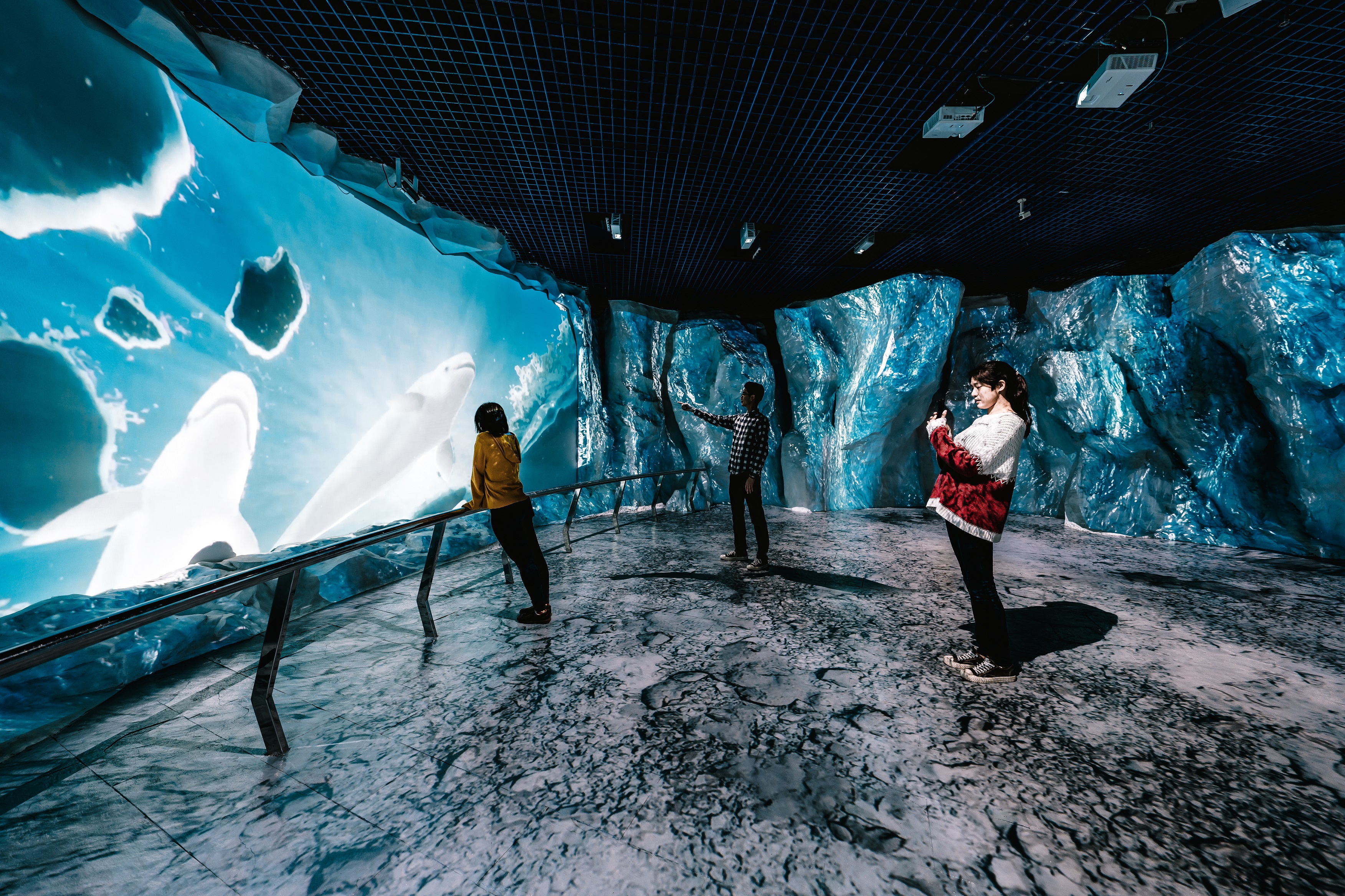 屏東海生館全新沉浸式展示「極境漫遊66.5度」驚艷登場 一窺極地世界