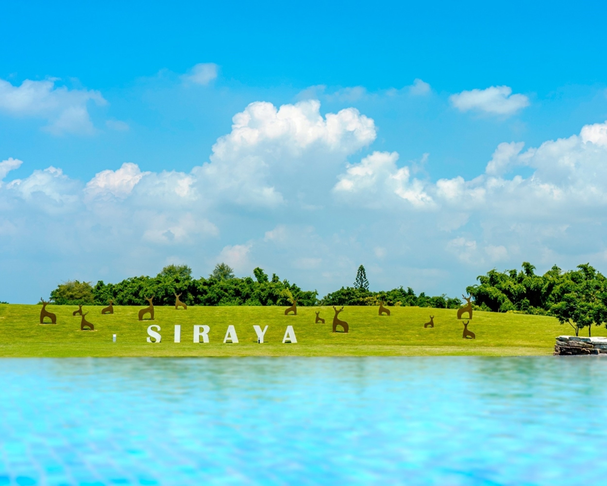 西拉雅牛肉湯太好吃！  體驗低碳運具美食之旅、暢玩六甲官田