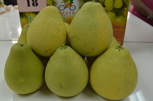 102 年麻豆文旦評鑑出爐 郭清淵脫穎而出 勇奪特等獎殊榮