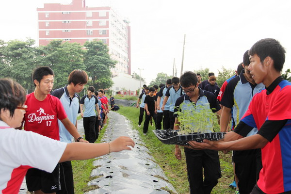 遠東科大選手集訓 先種番茄苗 學「一分耕耘一分收獲」