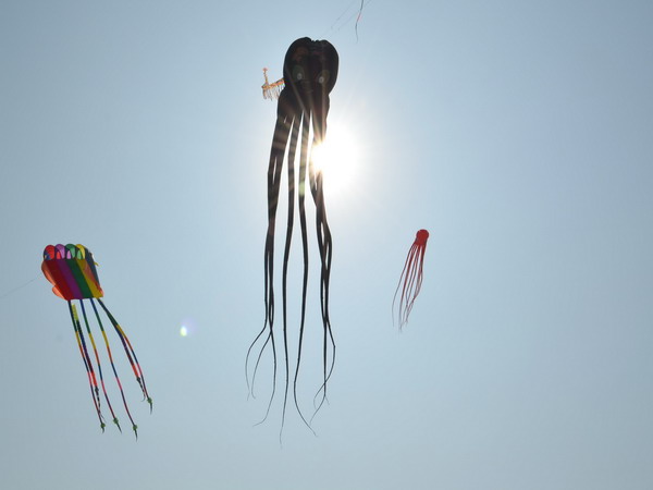 2014年春節烏山頭水庫風箏嘉年華1/31-2/3起飛