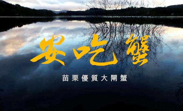 台南子弟趙士龍精心培育的安吃蟹優質大閘蟹開賣啦!