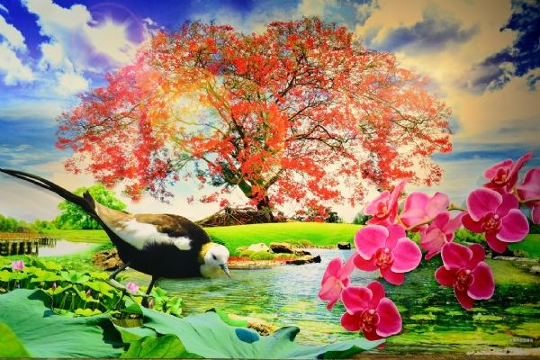 臺南市市徽、市樹、市花、市鳥發表