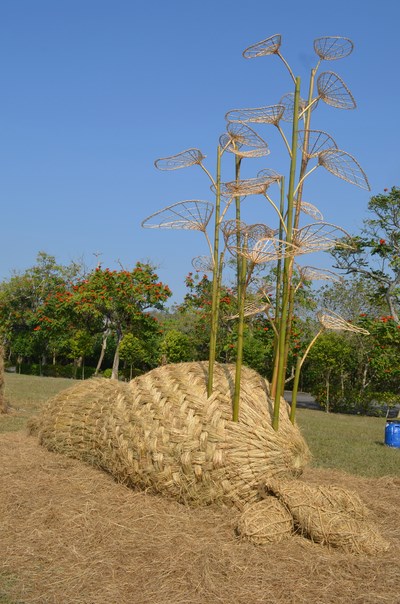 2015花牧蘭熱氣球嘉年華 1/28~3/1在走馬瀨農場升空