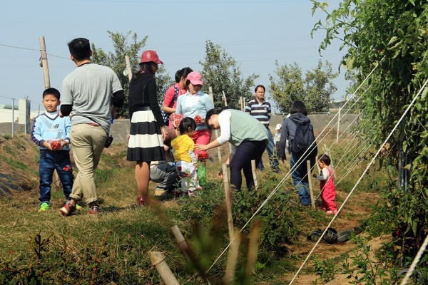 開放校園採果 遠東科大田園新春微旅行