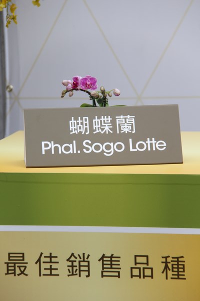 2015臺灣國際蘭展熱鬧登場