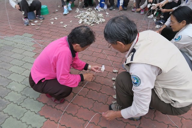台江黑琵季系列活動─「探訪潟湖小旅行」  邀請您認識黑面琵鷺與台江漁村風情