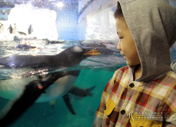 屏東海生館兒童海洋節 兒童玩一天送一年