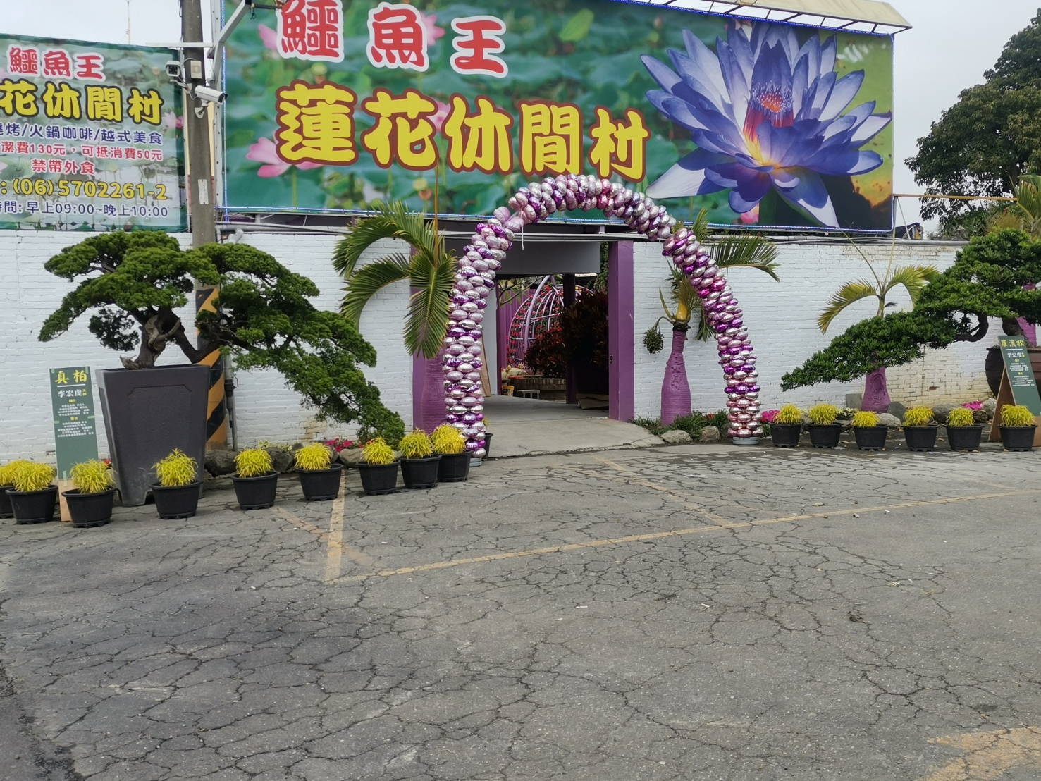 麻豆鱷魚王蛻變為鱷魚王蓮花休閒村 開幕迎賓