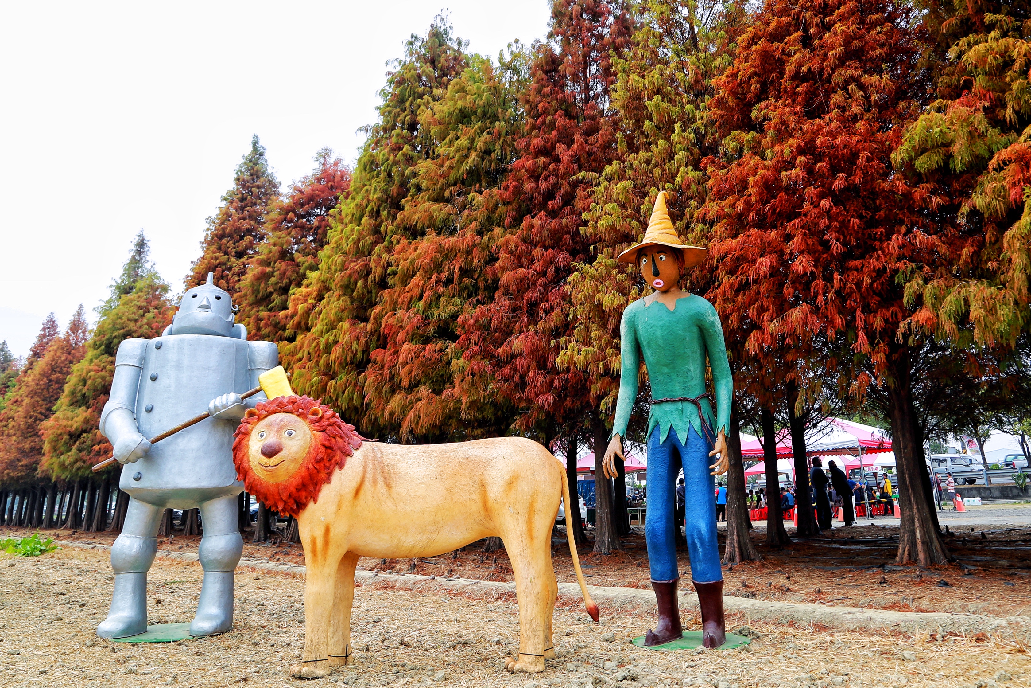 六甲落羽松賞紅季開始囉！黃偉哲邀請大家來趟舒暢身心之旅