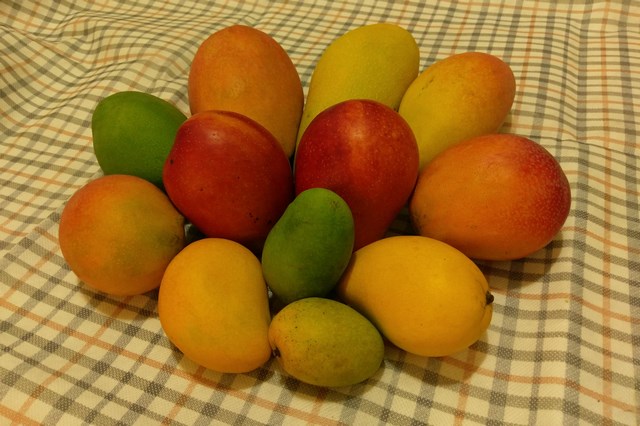 在地好味道  戀戀芒果香