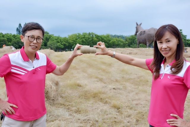 走馬瀨農場牧草採收奇景  賞期限定~錯過還要再等半年