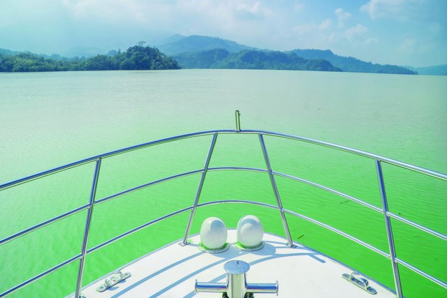 天冷就是要泡湯  西拉雅風管處推電子優惠券便民促觀光  加碼推超卡哇伊喔熊組長行李吊牌限量送