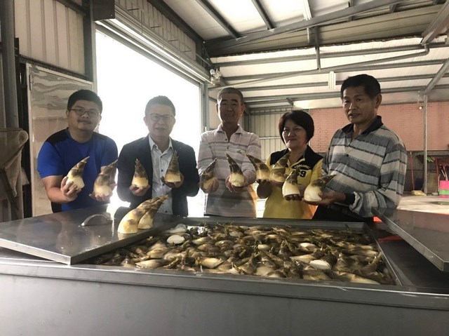 鮮採竹筍 品嘗正是時機