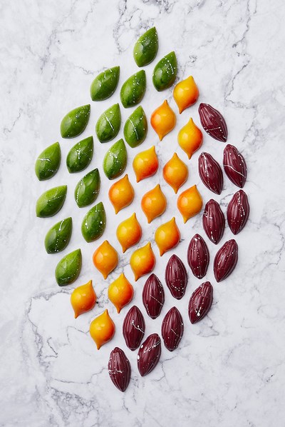 香格里拉台南遠東國際大飯店傳捷報，世界巧克力大賽亞太區賽事奪金