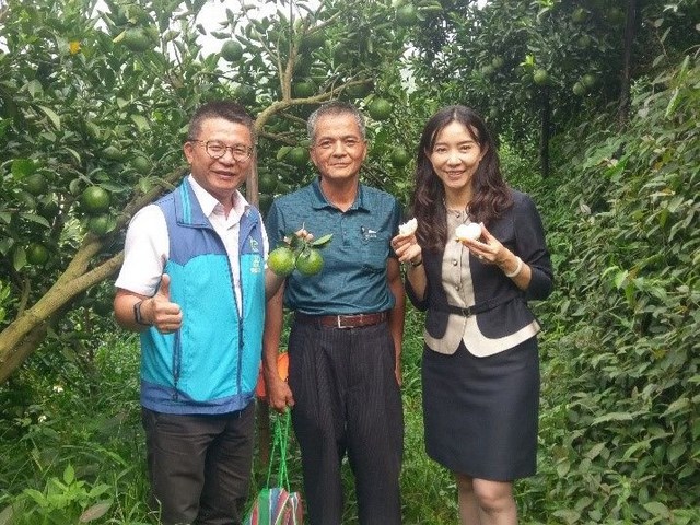 嘉義優質椪柑評鑑 多C好健康