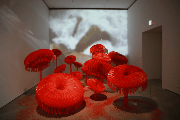 南美館新春特展用當代藝術重新詮釋中國人過年招財、團圓的傳統習俗