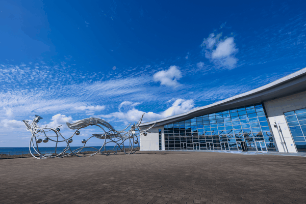 線上同遊海生館 屏東海生館推直播節目療癒身心