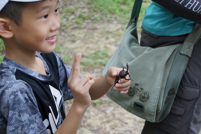 台糖公司尖山埤江南渡假村 新聞稿 江南渡假村【獨角仙探險趣】4人同行1人免費