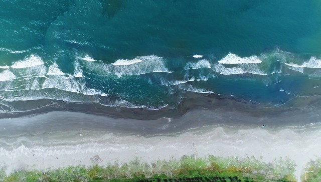 台江國家公園管理處「蟹逅蟬鳴─台江夏夜嘉年華」