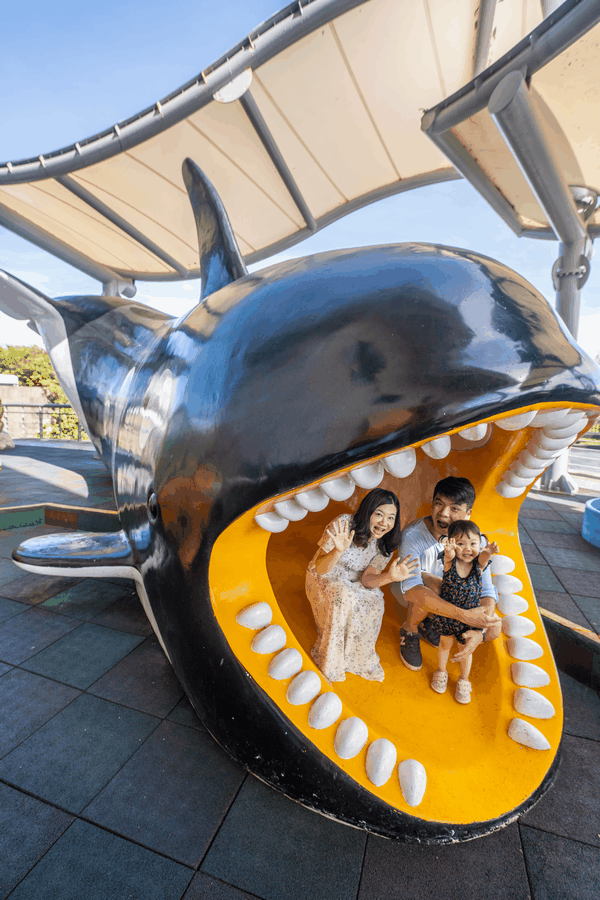 屏東海生館暑期限定 一起加入「海洋萌友會」吧！