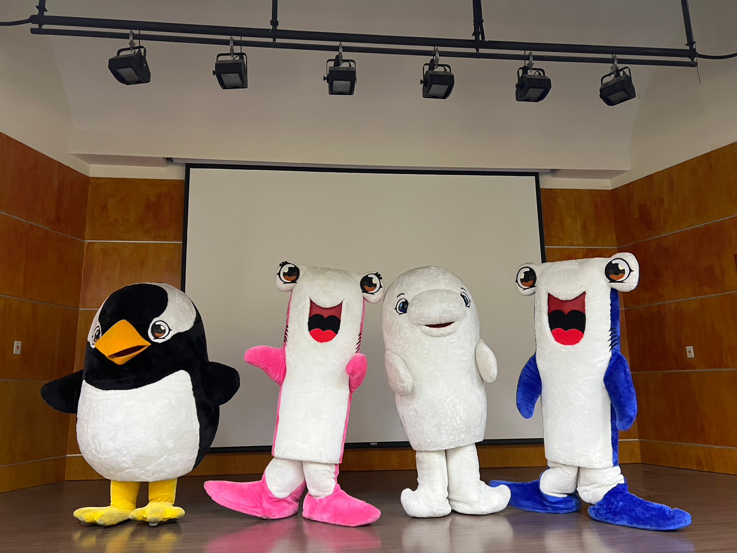 世界企鵝日守護萌翻企鵝 屏東海生館首度推出夜宿限定特別活動