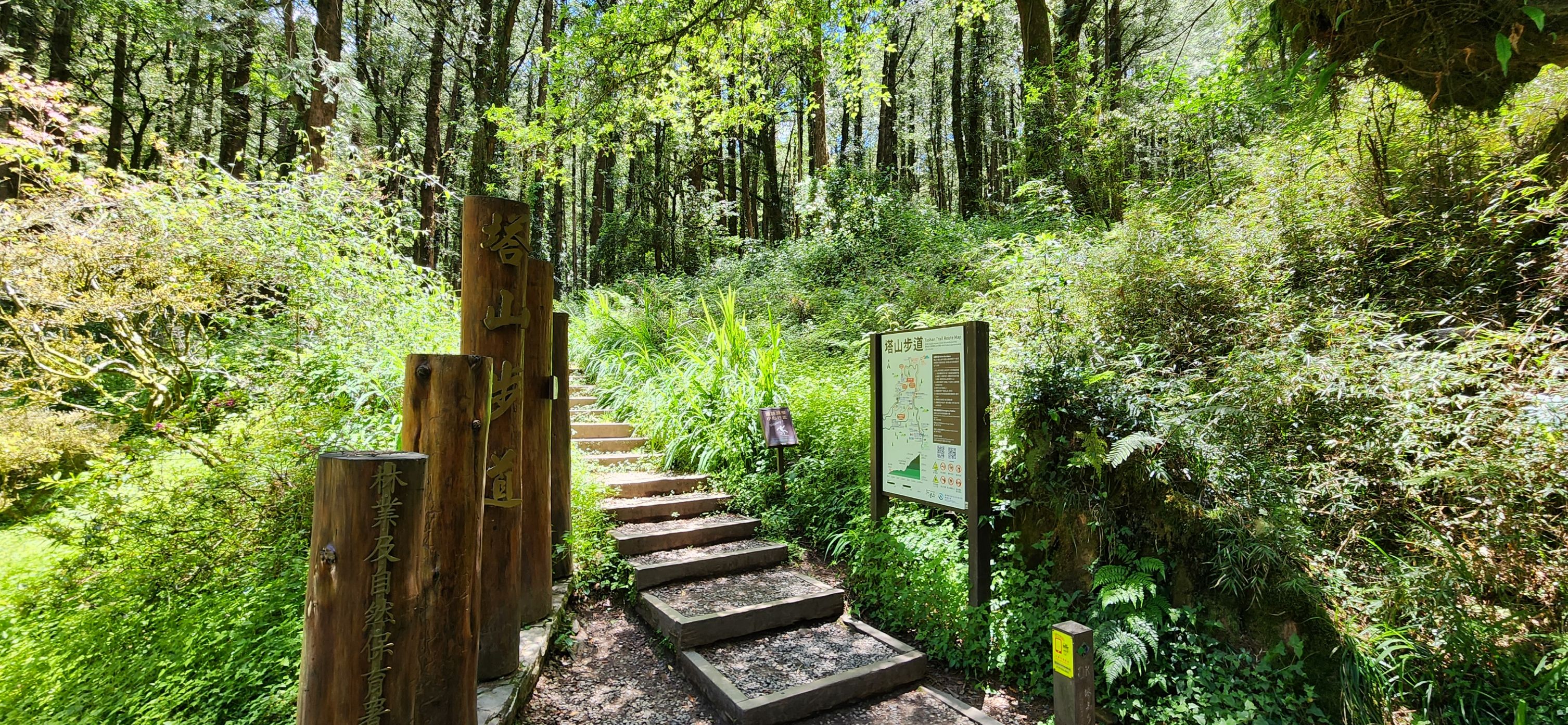 登山客注意!阿里山森林遊樂區塔山步道將自115年7月1日起全線封閉