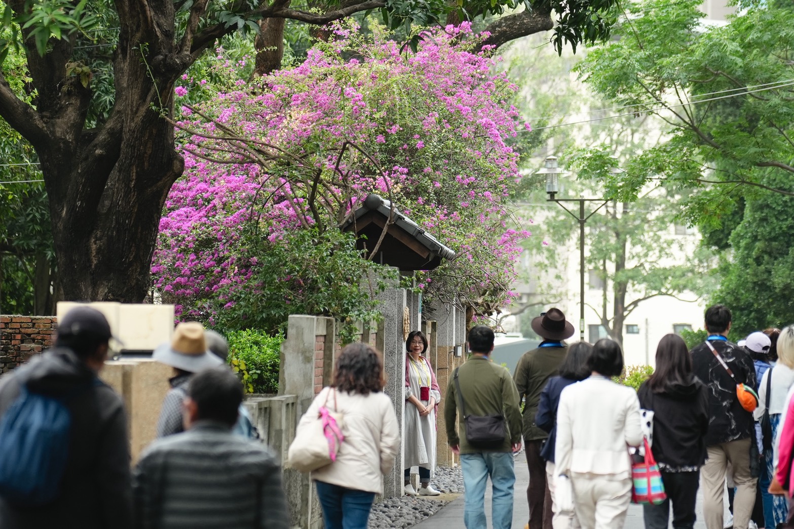 321巷藝術聚落即日起平日戶外午後開放 邀民眾漫遊古蹟綠意