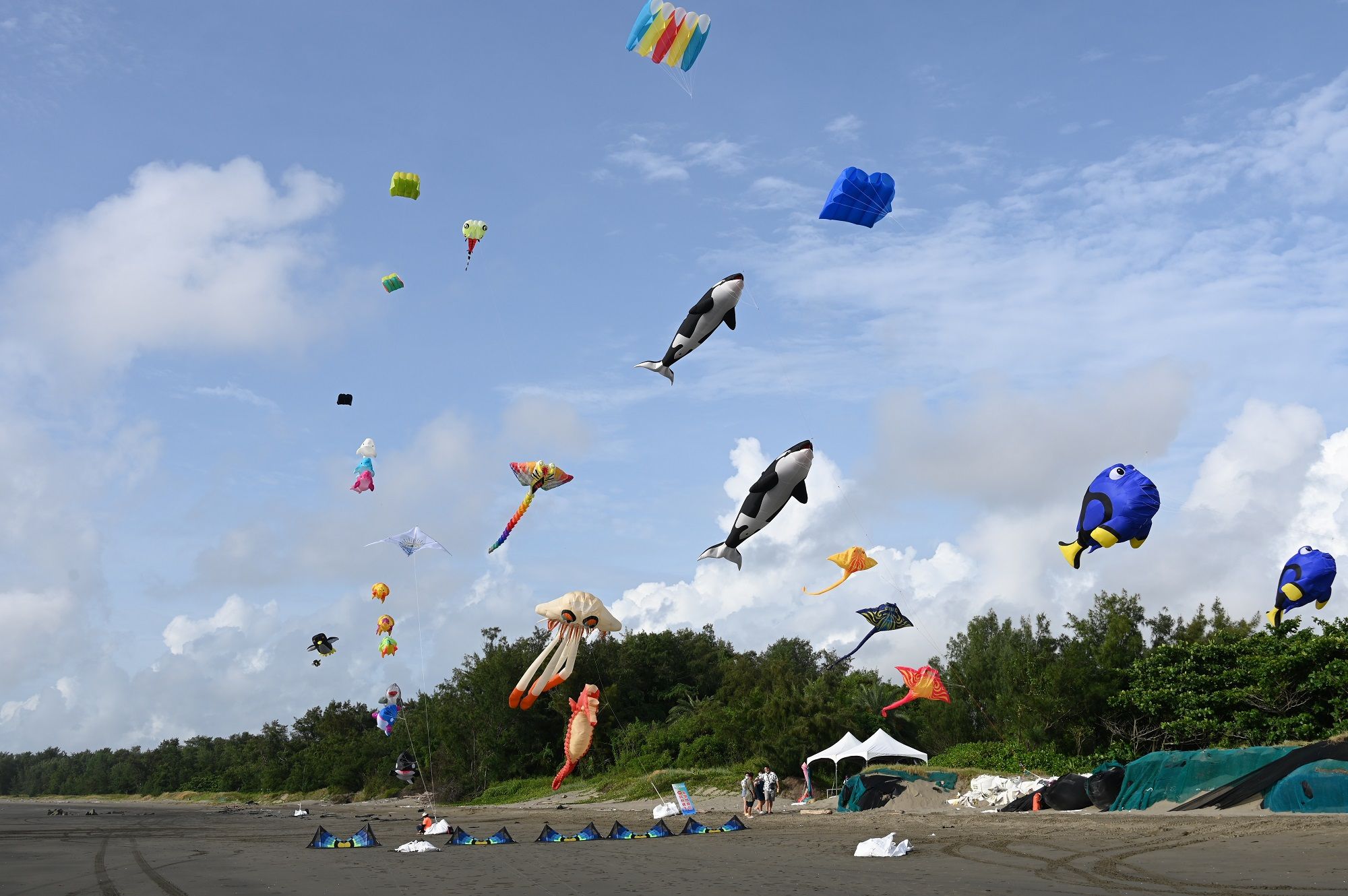 台灣仲夏之夜音樂會 嗨爆台南馬沙溝   熱鬧揭開【2022台灣仲夏旅遊節】系列活動序幕