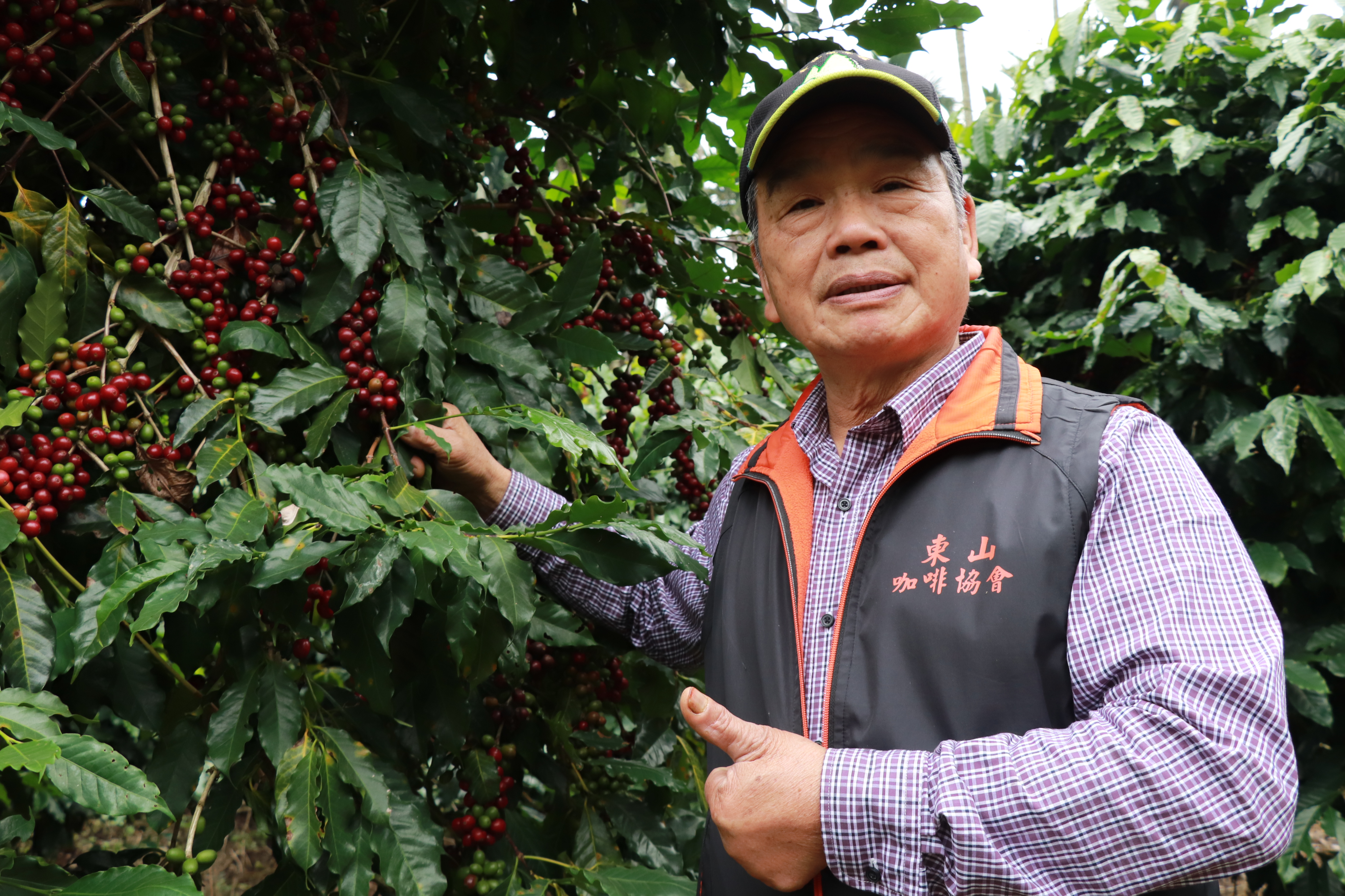 東山「咖啡達人」陳水連 用心種咖啡，用好咖啡交朋友 