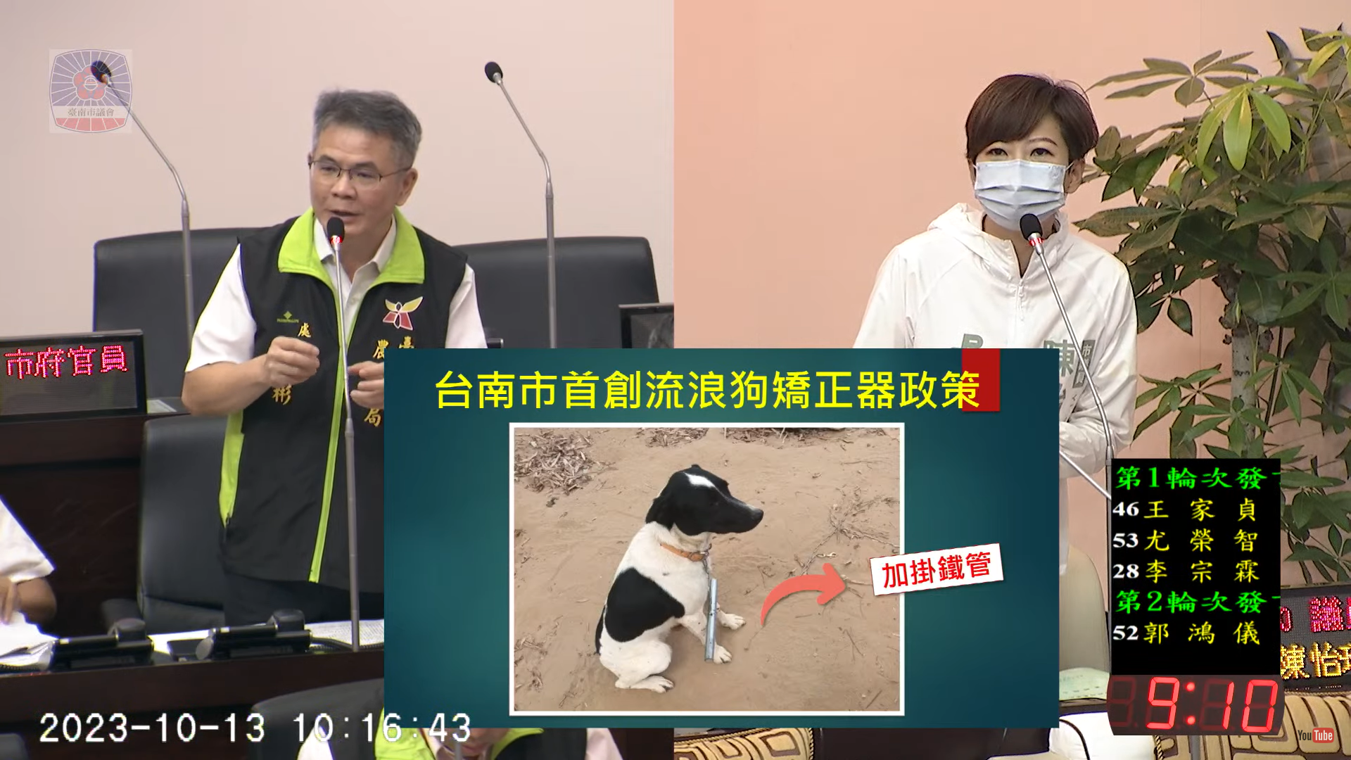 市議員陳怡珍檢討流浪狗加掛矯正器成效