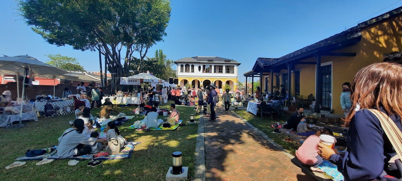 柳營名人來走春，骰出你的好運氣