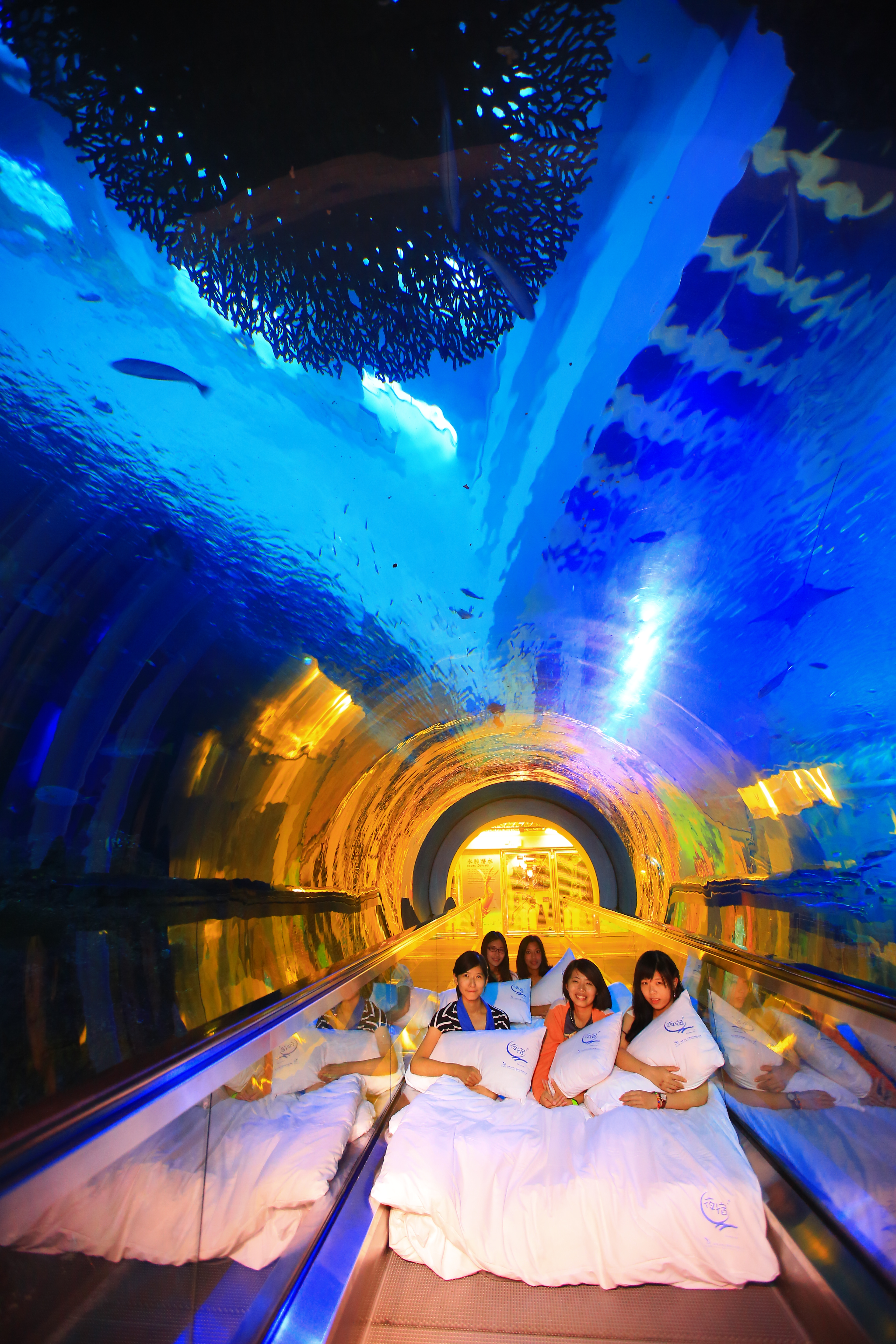 屏東海生館獲旅遊網站「旅行者之選」大賞， 推夜宿雙11年度最大檔優惠