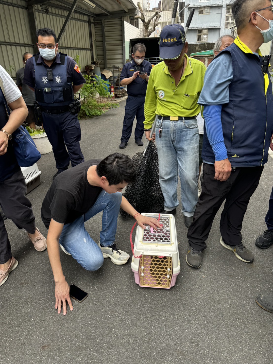永康虐貓案最後一隻虎斑貓29日下午已找到並帶出