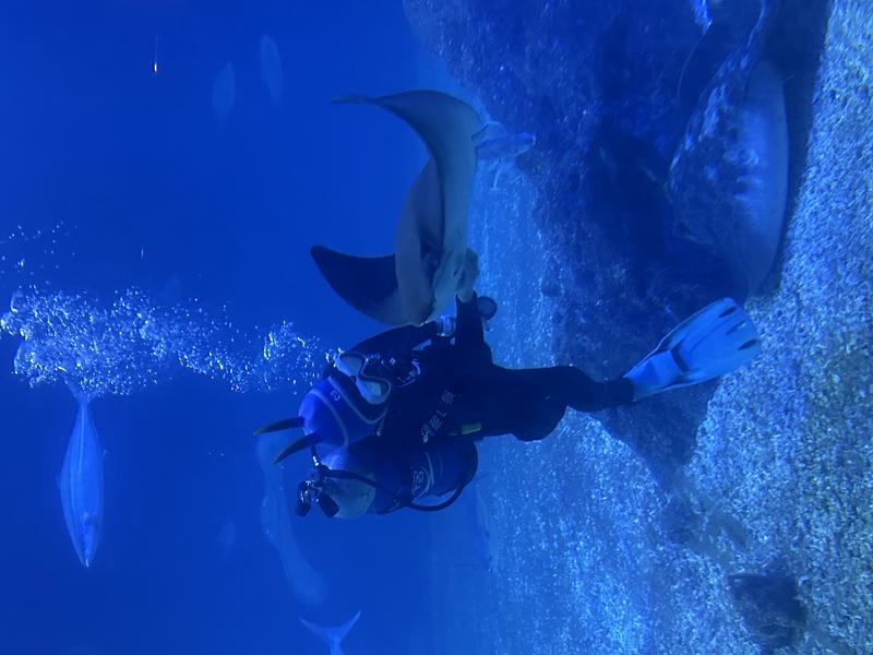 屏東海生館萬聖節活動倒數 怪奇生物齊聚掀起變裝熱潮