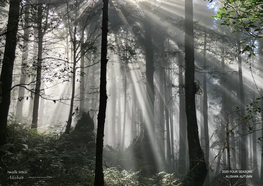 2025阿里山森旅季—秋霧寫真旅 霧林之間，捕捉阿里山魔幻時刻