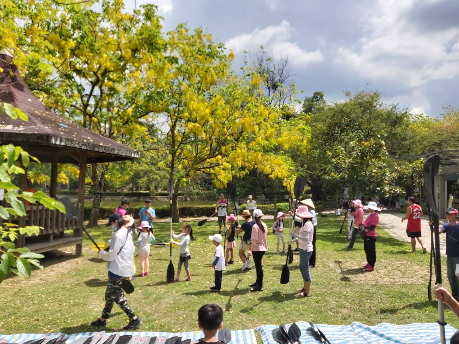 2022虎頭埤阿勃勒花延後綻放 預計持續賞花至端午