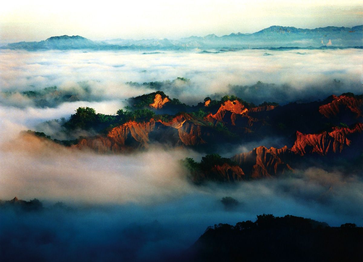 用鏡頭記錄最美風景　臺南市兩位自然攝影家獲提報卓越市民