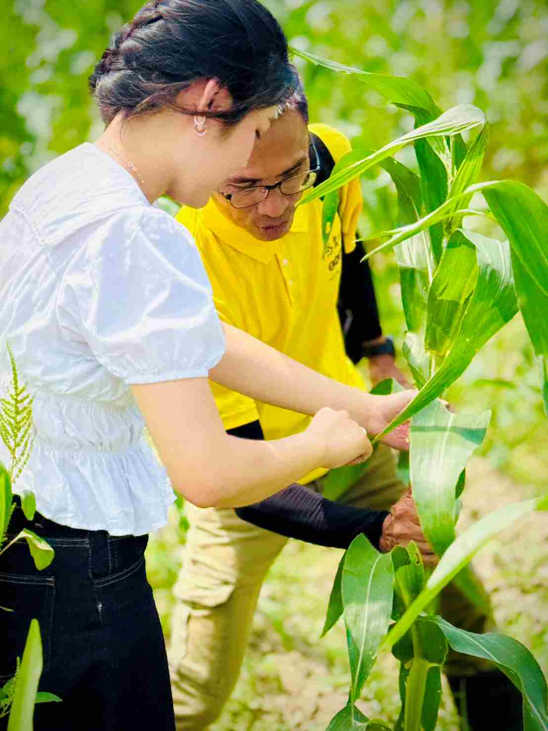 USR走入梓官田野—南應大師生用AI開啟餐飲永續新思維