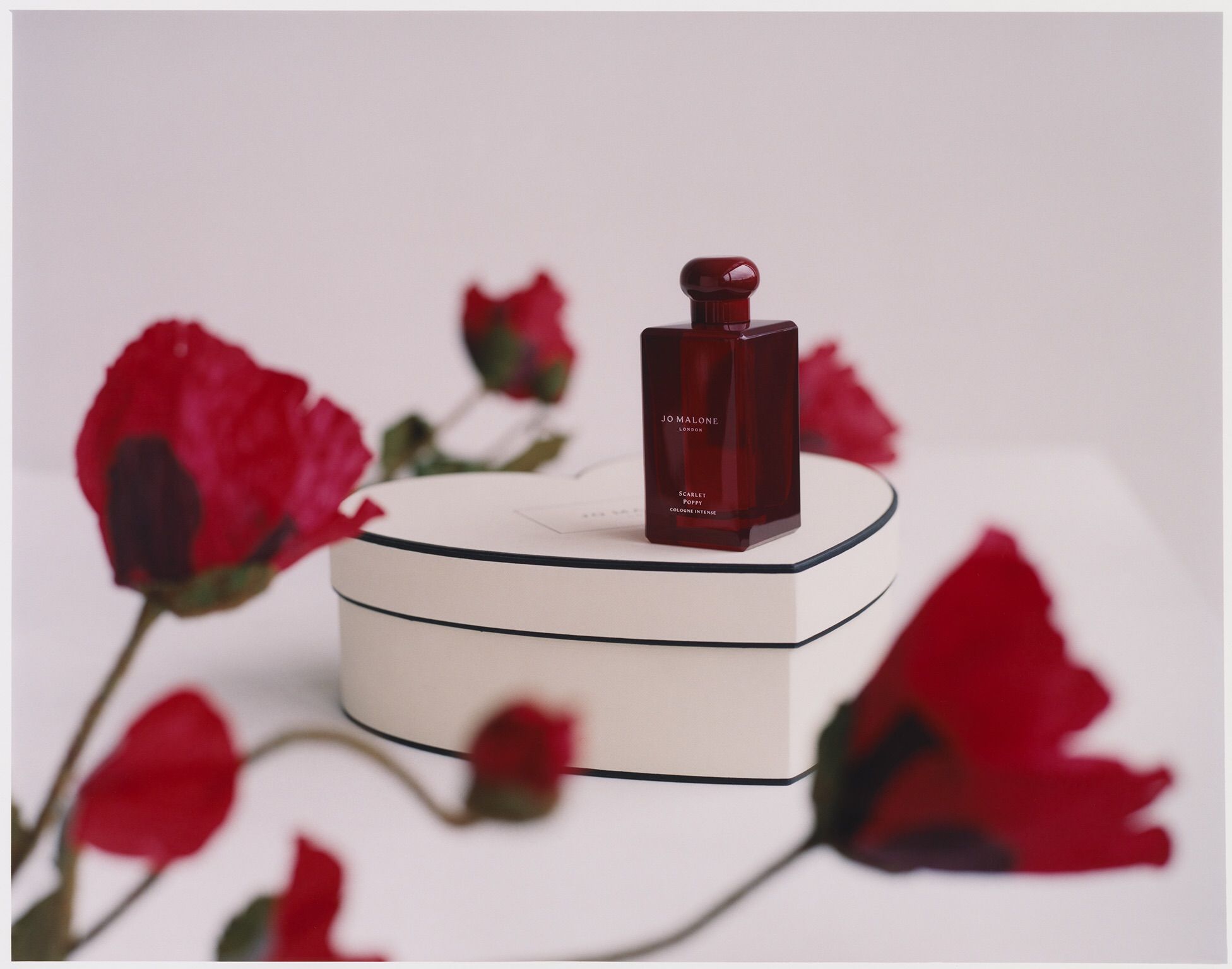 情人節自帶迷人香 滿滿桃花招不完  情人節特別企劃 扭到脫單 放閃無極限