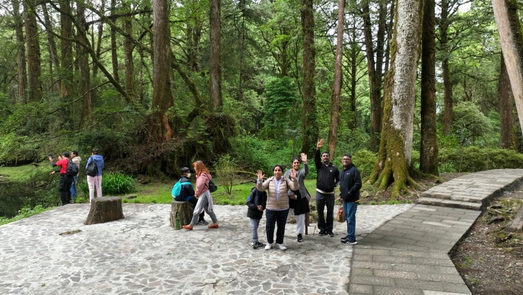 南山林道領銜再摘特優 林業保育署嘉義分署優良農建獎五喜臨門