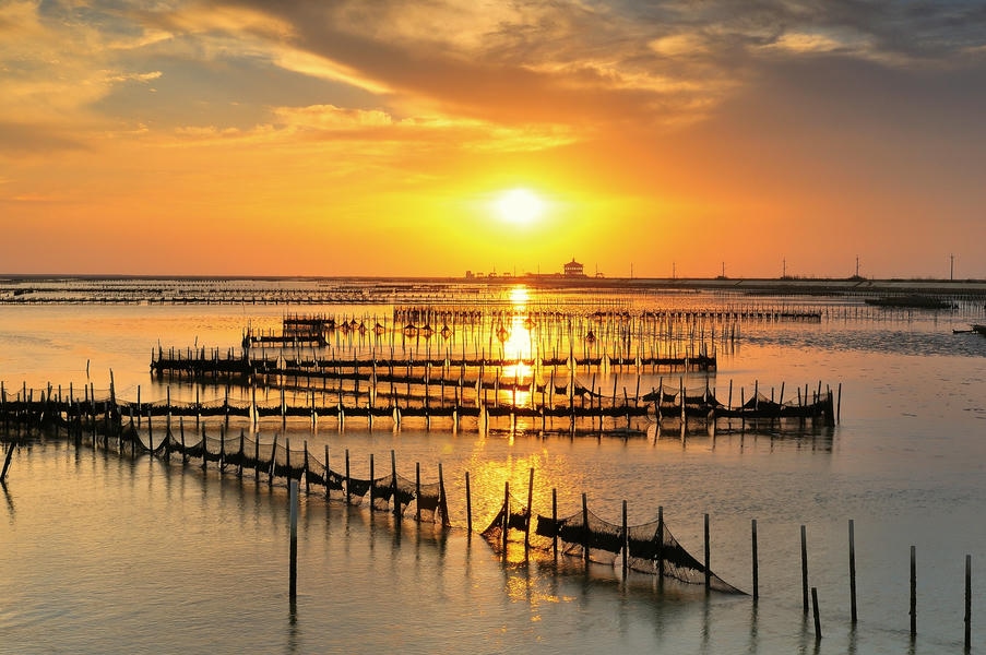 體驗低碳水域遊憩 巡禮七股潟湖風貌