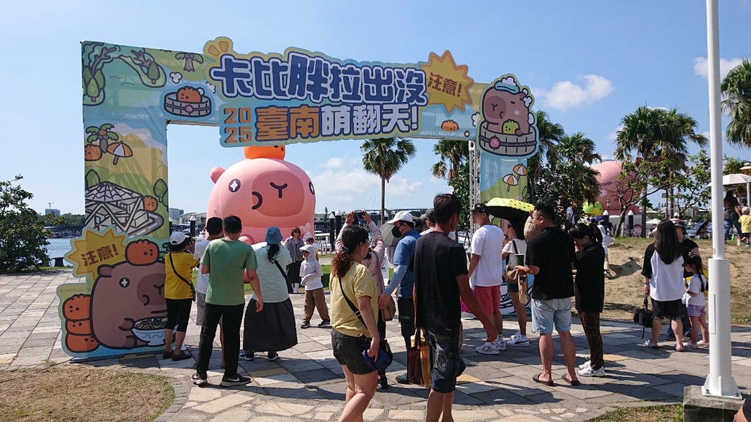 卡比胖拉魅力爆棚 因應颱風來襲 若安平地區預估風力達六級 將提前撤收以維安全