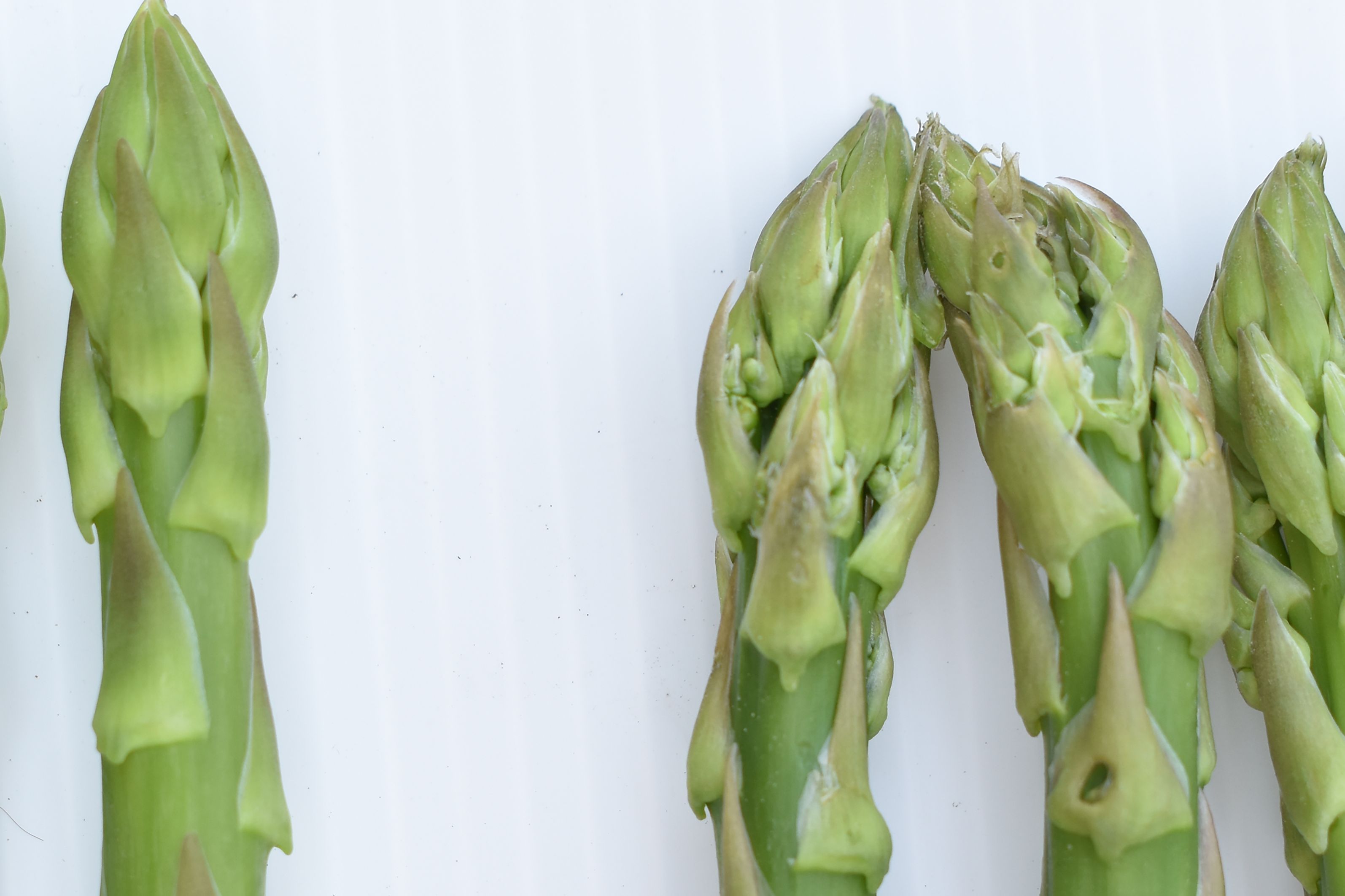 美味營養蘆筍嚐鮮正當時  教您挑選好撇步