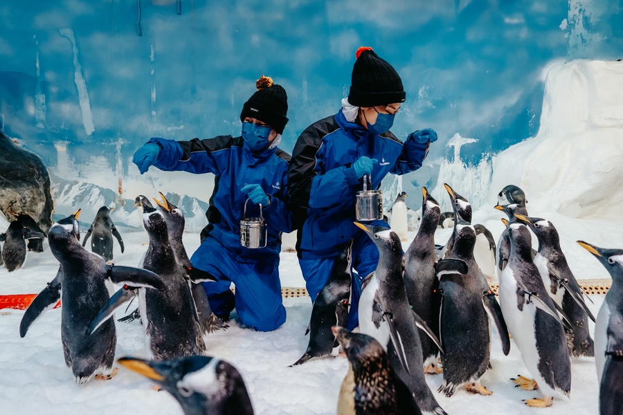 最後倒數！「龍王鯨」化石首度移展屏東海生館　僅展至本週五